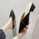 47962193101108|47962193133876|47962193166644|47962193199412|47962193232180|47962193264948|47962193789236